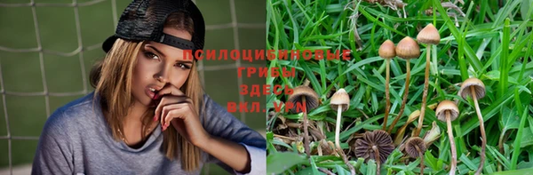 герыч Алзамай