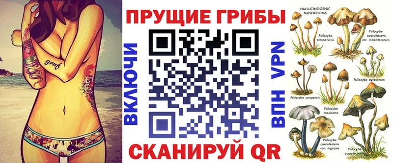 Галлюциногенные грибы мицелий  купить   Мензелинск 